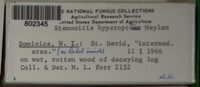 Image Associated With the Occurence